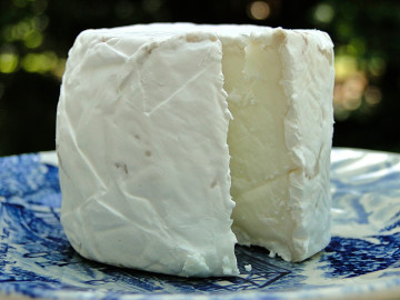 Cheese 567367 1920