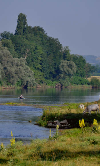 Countryside & Natural heritage
