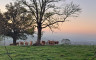 Vue sur la campagne - Crédits photo : Marc Blerot