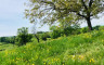 vue prés - Crédits photo : A.L. Burignat