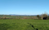 Bocage de Saint-Christophe-en-Brionnais  - Crédits photo : Clémence Bordet 