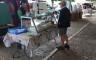 La ferme des Cadoux - Crédits photo : Nelly Cavaillès