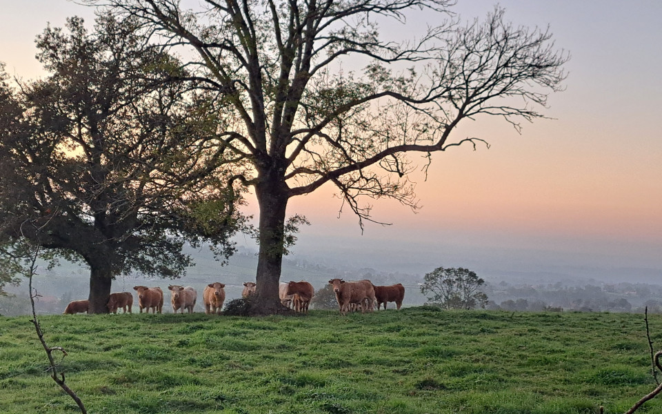 Vue sur la campagne - Crédits photo : Marc Blerot
