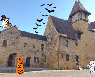 Escape game "M.A.N.I.F Manifestation Animée Non Identifiée Furtive"