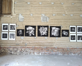Les Artistes au Jardin