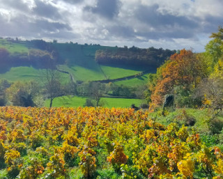 Marche des 7 Collines