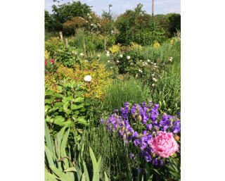Conférence "Aménager son jardin de campagne"