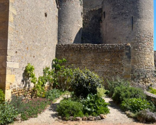 Atelier découverte Mon herbier