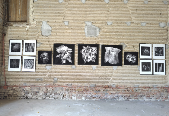 Les Artistes au Jardin