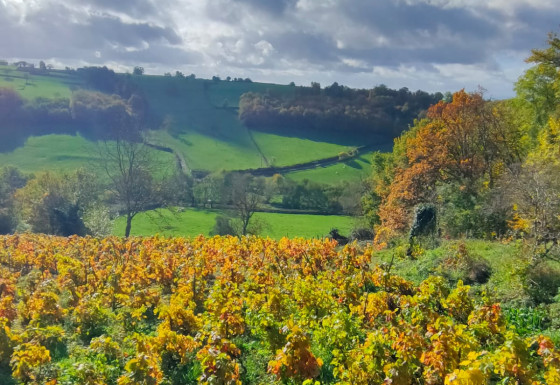 Marche des 7 Collines