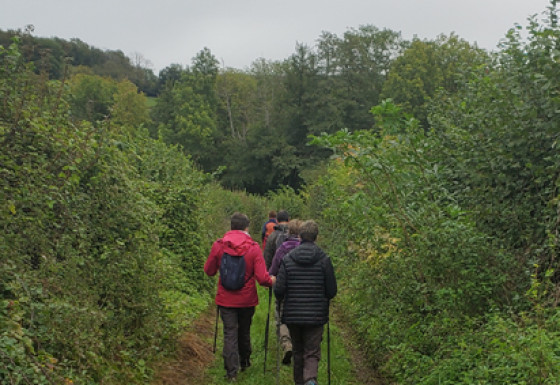 Marche du terroir 