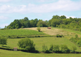 The typical Brionnais bocage