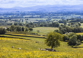 Les hauts du Bézo