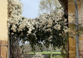 Rendez-vous aux jardins