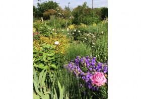 Conférence "Aménager son jardin de campagne"