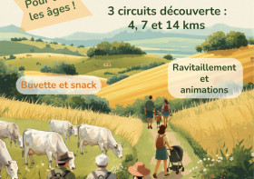 Marche des poussettes