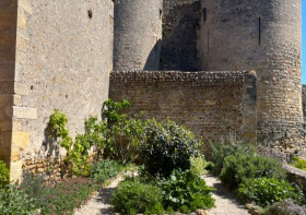 Atelier découverte Mon herbier
