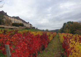 DOMAINE DU CRÉPUSCULE