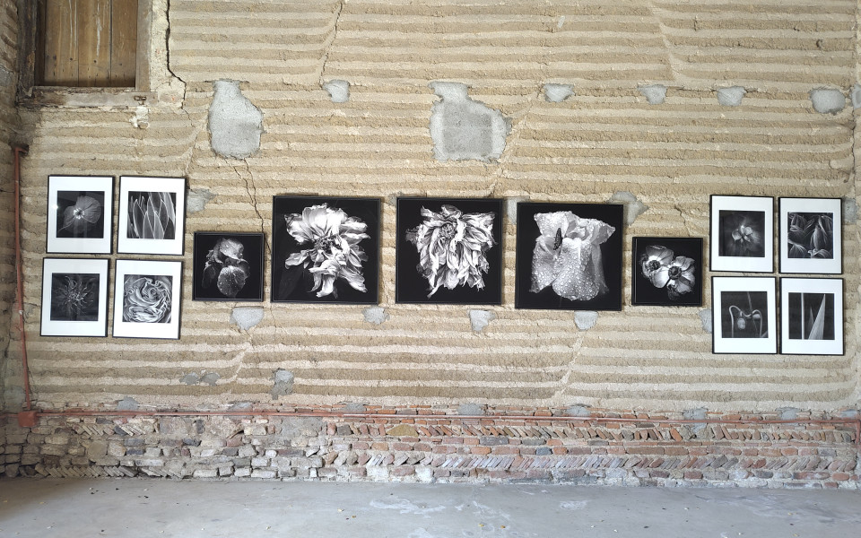 Photographies - Crédits photo : Clémence Bordet