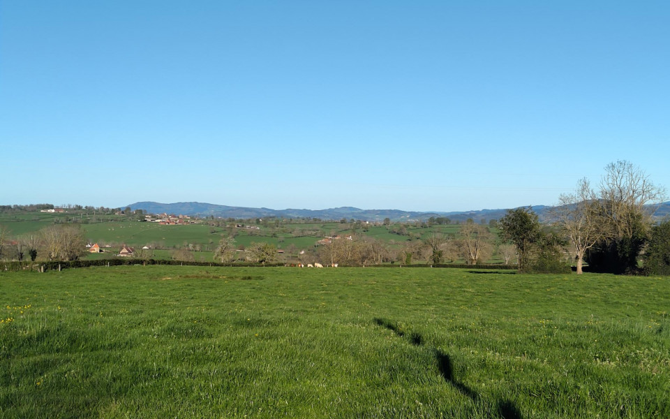 Bocage de Saint-Christophe-en-Brionnais  - Crédits photo : Clémence Bordet 