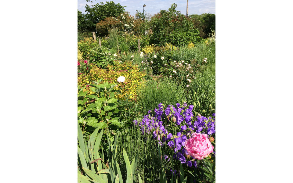 Les Jardins de Soussilanges  - Crédits photo : PACHOT Isabelle 