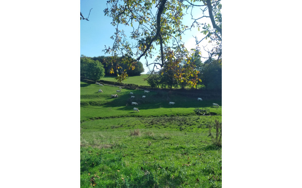 La campagne vallonnée d'Iguerande - Photo Credits : Berthelier Gabriel