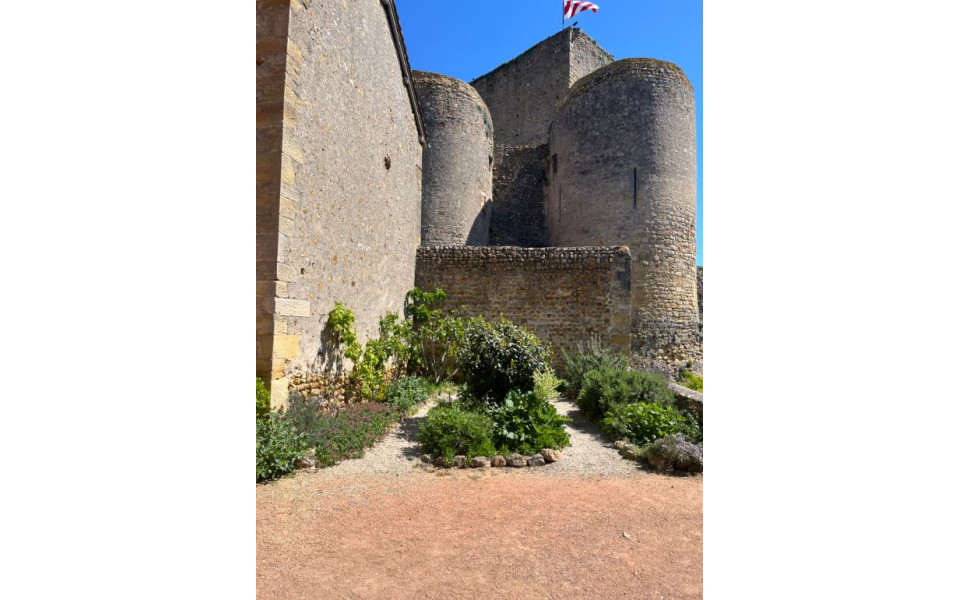 jardin médiéval Semur - Crédits photo : LEFKOUNE Alicia
